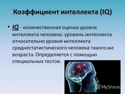 Презентація на тему інтелект людини і його види (яка об'єднує всі пізнавальні.) Презентація на тему інтелект людини і його види