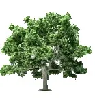 продаж крупномірів