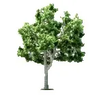 продаж крупномірів