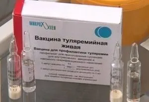 Щеплення від туляремії чи потрібно робити, показання, реакція, вакцина (показання) Щеплення від туляремії чи потрібно робити, показання, реакція, вакцина