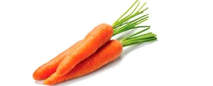 Продукти для ерекції корисні і прості рецепти (рецепти) Продукти для ерекції корисні і прості рецепти