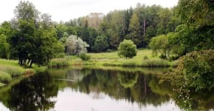 Приблизний план облаштування родового маєтку - ландшафт - облаштування ділянки (приблизний план облаштування родового маєтку) Приблизний план облаштування родового маєтку - ландшафт - облаштування ділянки
