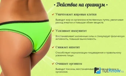 Застосування морозника для схуднення (схуднення) Застосування морозника для схуднення