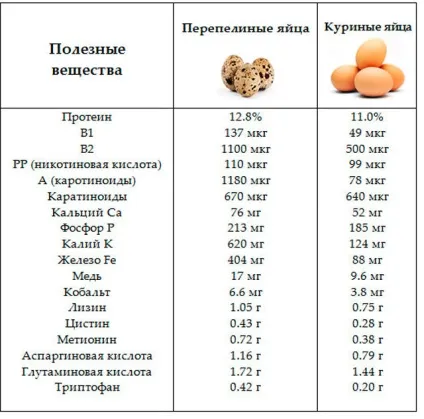 Продукти для ерекції корисні і прості рецепти (прості) Продукти для ерекції корисні і прості рецепти