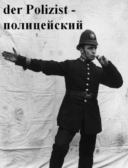 Професії на німецькому