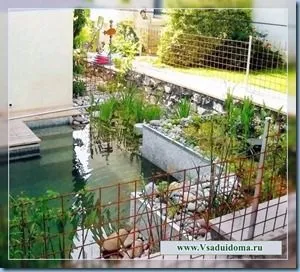 Ставок для купання на дачі своїми руками - фото і хід будівництва, сайт про сад, дачі і кімнатних (купання) Ставок для купання на дачі своїми руками - фото і хід будівництва, сайт про сад, дачі і кімнатних