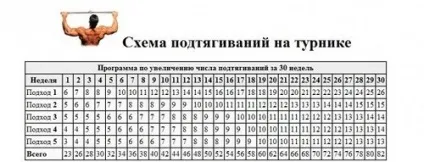 Програма тренувань на турніку і брусах