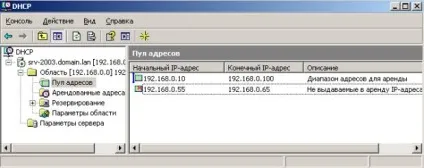 Перевірка працездатності dhcp сервера