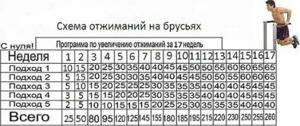 Програма тренувань на турніку і брусах