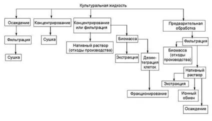Процеси в біотехнології постферментаціонная стадія, фракціонування екстрактів біомаси (генетична інженерія) Процеси в біотехнології постферментаціонная стадія, фракціонування екстрактів біомаси