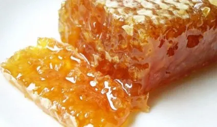 Прополіс при ангіні настойки, застосування, рецепти (ангіні) Прополіс при ангіні настойки, застосування, рецепти