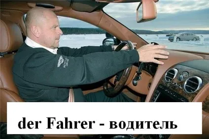 Професії на німецькому