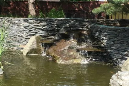 Ставок для купання на дачі - поради з будівництва від компанії «водоемчик» (дачі) Ставок для купання на дачі - поради з будівництва від компанії «водоемчик»