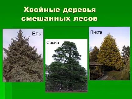 Прорізна різьблення по дереву креслення, візерунки, трафарети і ескізи для початківців майстрів (різьблення) Прорізна різьблення по дереву креслення, візерунки, трафарети і ескізи для початківців майстрів