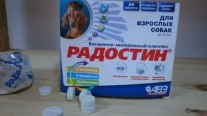 Радостін (вітаміни) для собак і кішок, відгуки про застосування препаратів для тварин від ветеринарів і (собак) Радостін (вітаміни) для собак і кішок, відгуки про застосування препаратів для тварин від ветеринарів і