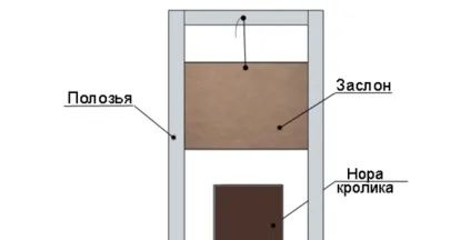Розведення кроликів в ямах особливості, досвід заводчиків, відео та фото (розведення) Розведення кроликів в ямах особливості, досвід заводчиків, відео та фото