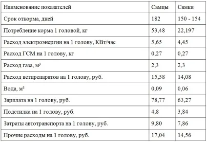 Розведення індиків як бізнес