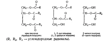 1 Біологічні функції ліпідів (вищих жирних кислот) 1 Біологічні функції ліпідів