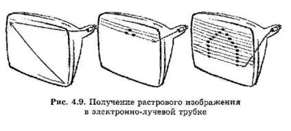 22 §19