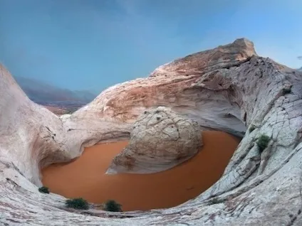 22 Факту людських пупkов, про які ви точно не знали (точно) 22 Факту людських пупkов, про які ви точно не знали