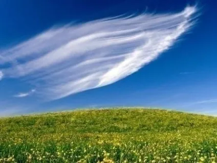 1 Зелена хімія