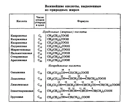 1 Біологічні функції ліпідів (функції) 1 Біологічні функції ліпідів