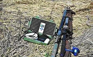 Риба йде на світло