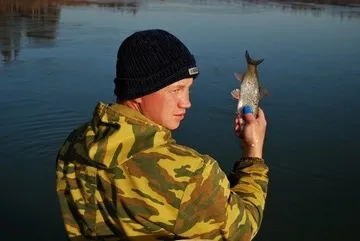 Риболовля на чебака в сибіру - інші риби (рибалка) Риболовля на чебака в сибіру - інші риби