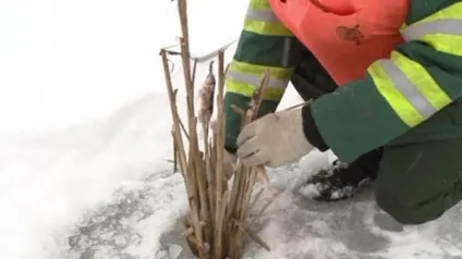 Риба на дачі відео-інструкція як розводити своїми руками, розведення, зимівля в дачному ставку, фото (своїми) Риба на дачі відео-інструкція як розводити своїми руками, розведення, зимівля в дачному ставку, фото