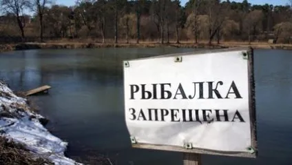 Риболовля в Алтайському краї і в Чернівцях
