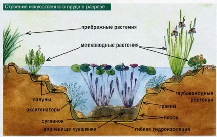 Риба на дачі відео-інструкція як розводити своїми руками, розведення, зимівля в дачному ставку, фото (своїми) Риба на дачі відео-інструкція як розводити своїми руками, розведення, зимівля в дачному ставку, фото