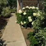 Садові доріжки своїми руками фото ідеї з виготовлення доріжок на дачній ділянці (доріжки) Садові доріжки своїми руками фото ідеї з виготовлення доріжок на дачній ділянці