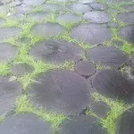 Садові доріжки своїми руками фото ідеї з виготовлення доріжок на дачній ділянці (садові) Садові доріжки своїми руками фото ідеї з виготовлення доріжок на дачній ділянці