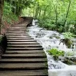 Садові доріжки своїми руками фото ідеї з виготовлення доріжок на дачній ділянці (садові) Садові доріжки своїми руками фото ідеї з виготовлення доріжок на дачній ділянці