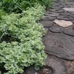 Садові доріжки своїми руками фото ідеї з виготовлення доріжок на дачній ділянці (садові) Садові доріжки своїми руками фото ідеї з виготовлення доріжок на дачній ділянці