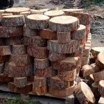 Садові доріжки своїми руками фото ідеї з виготовлення доріжок на дачній ділянці (садові) Садові доріжки своїми руками фото ідеї з виготовлення доріжок на дачній ділянці