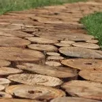 Садові доріжки своїми руками фото ідеї з виготовлення доріжок на дачній ділянці (доріжки) Садові доріжки своїми руками фото ідеї з виготовлення доріжок на дачній ділянці
