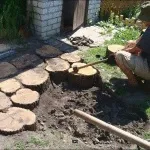 Садові доріжки своїми руками фото ідеї з виготовлення доріжок на дачній ділянці (ідеї) Садові доріжки своїми руками фото ідеї з виготовлення доріжок на дачній ділянці