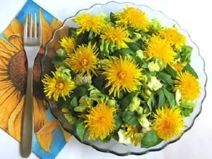 Салат з кульбаб користь і шкода, кілька рецептів