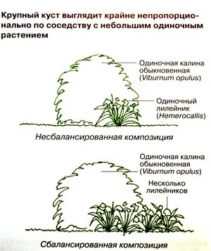 Народження саду - створюємо квітники (передній частині миксбордера) Народження саду - створюємо квітники