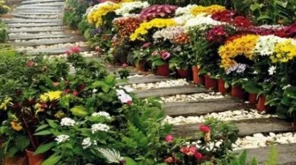 Садові доріжки своїми руками з малими витратами (руками) Садові доріжки своїми руками з малими витратами
