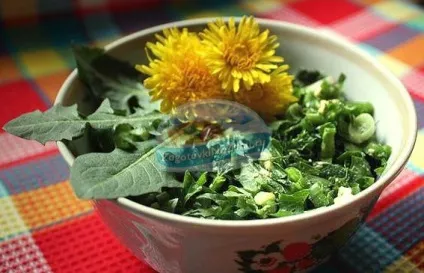Салат з кульбаб кращі рецепти з фото (рецепти) Салат з кульбаб кращі рецепти з фото