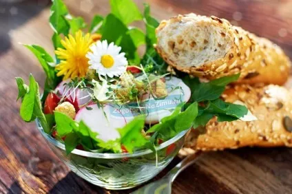 Салат з кульбаб кращі рецепти з фото (салат з кульбаб і кропиви рецепт) Салат з кульбаб кращі рецепти з фото