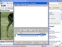 Save flash скачати безкоштовно російською мовою для windows 7 (flash) Save flash скачати безкоштовно російською мовою для windows 7