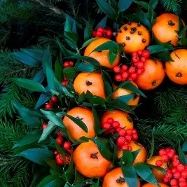 школа флористики