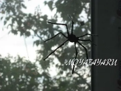Срібні павуки вироби з фольги своїми руками (павуки) Срібні павуки вироби з фольги своїми руками