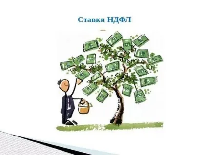 Скільки ми платимо податків насправді (податків самом деле) Скільки ми платимо податків насправді