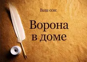 Сонник ворона в будинку залетіла уві сні бачити до чого сниться (бачити) Сонник ворона в будинку залетіла уві сні бачити до чого сниться