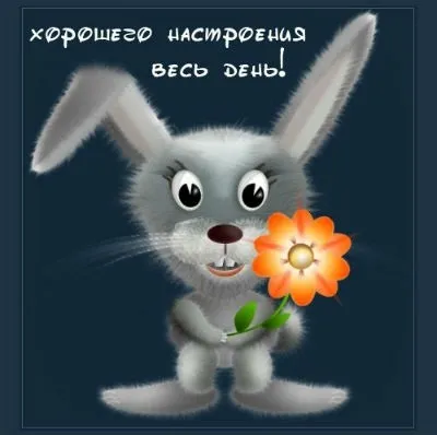 Смс улюбленої з побажанням хорошого дня (Щоб цілий день) Смс улюбленої з побажанням хорошого дня