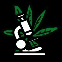 Способи куріння гашишу! Лайфхак растамана - СФК - grower (способи) Способи куріння гашишу! Лайфхак растамана - СФК - grower